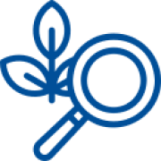 Icon of a magnifying glass focusing on a plant