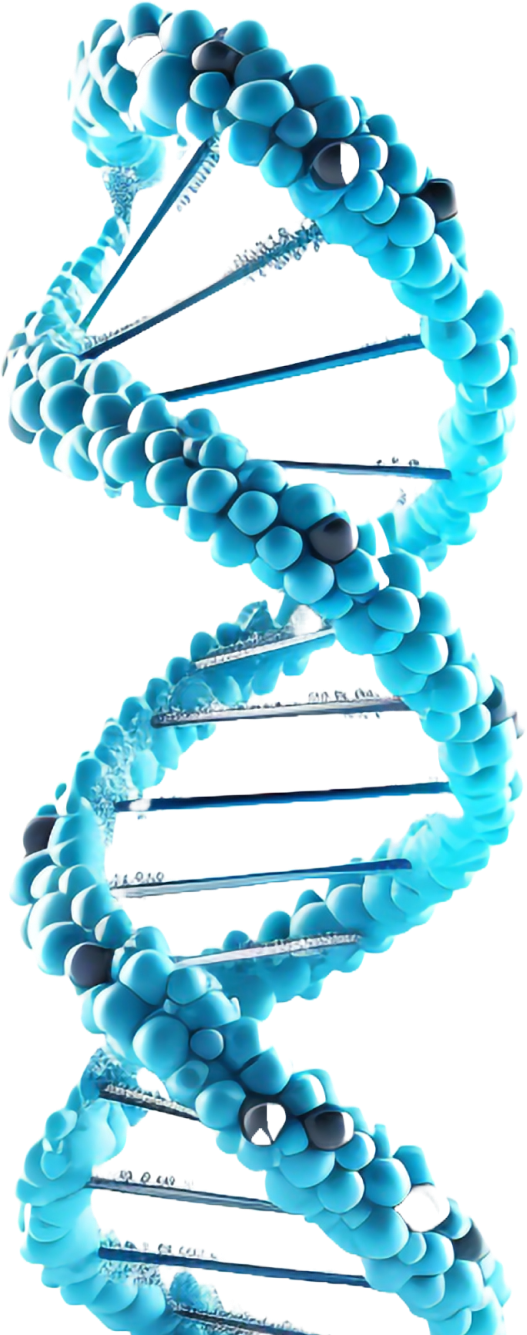 Illustration of a blue DNA double helix, symbolizing genetic research and molecular biology